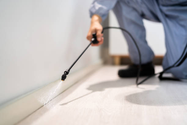 Licensed Termite Control service in Owosso, MI - Nex Pest Control