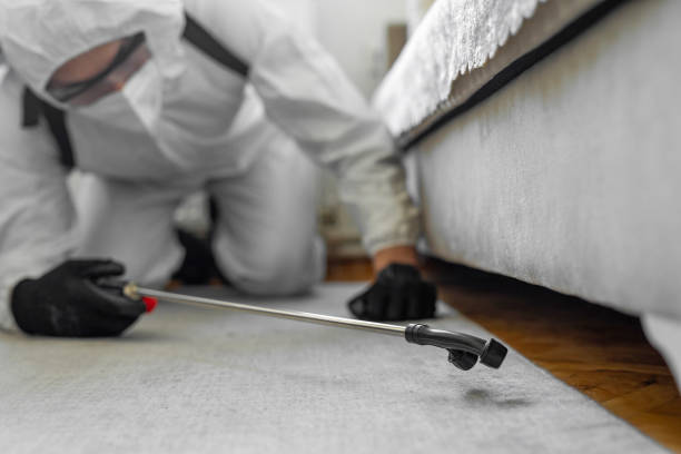 Professional Termite Control technician working in Owosso, MI