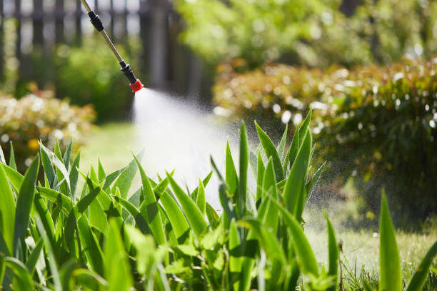 24/7 Emergency Termite Control experts in Owosso, MI