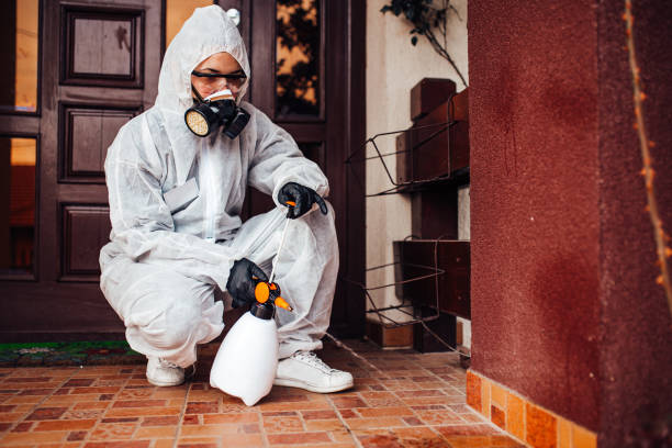 Reliable Termite Control contractor in Owosso, MI by Nex Pest Control