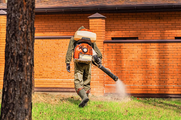 Top rated local Termite Control specialists in Owosso, MI